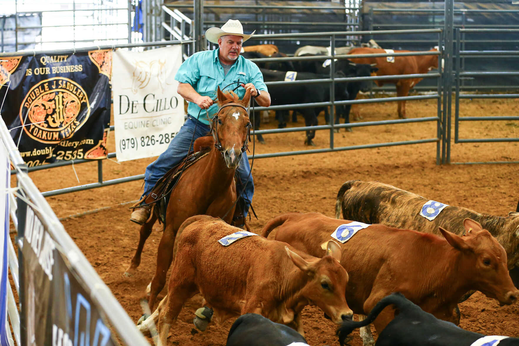 Ranch Sorting of America